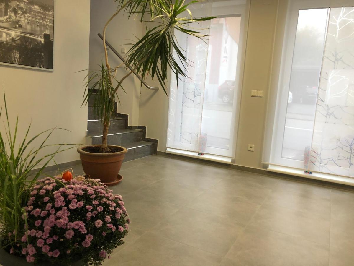 Gaestehaus Residenz Aurora Hotel Friedrichsthal Ngoại thất bức ảnh